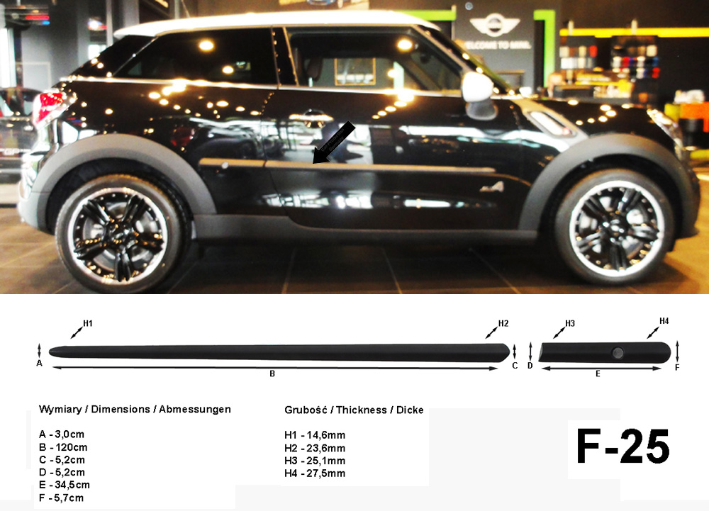 Seitenschutzleisten schwarz für Mini Paceman R61 SUV-Coupé ab Bauj. 03.2012- F25